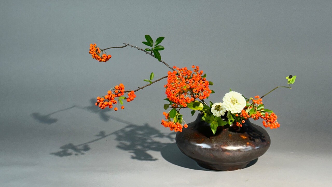 Ikebana: Freestyle