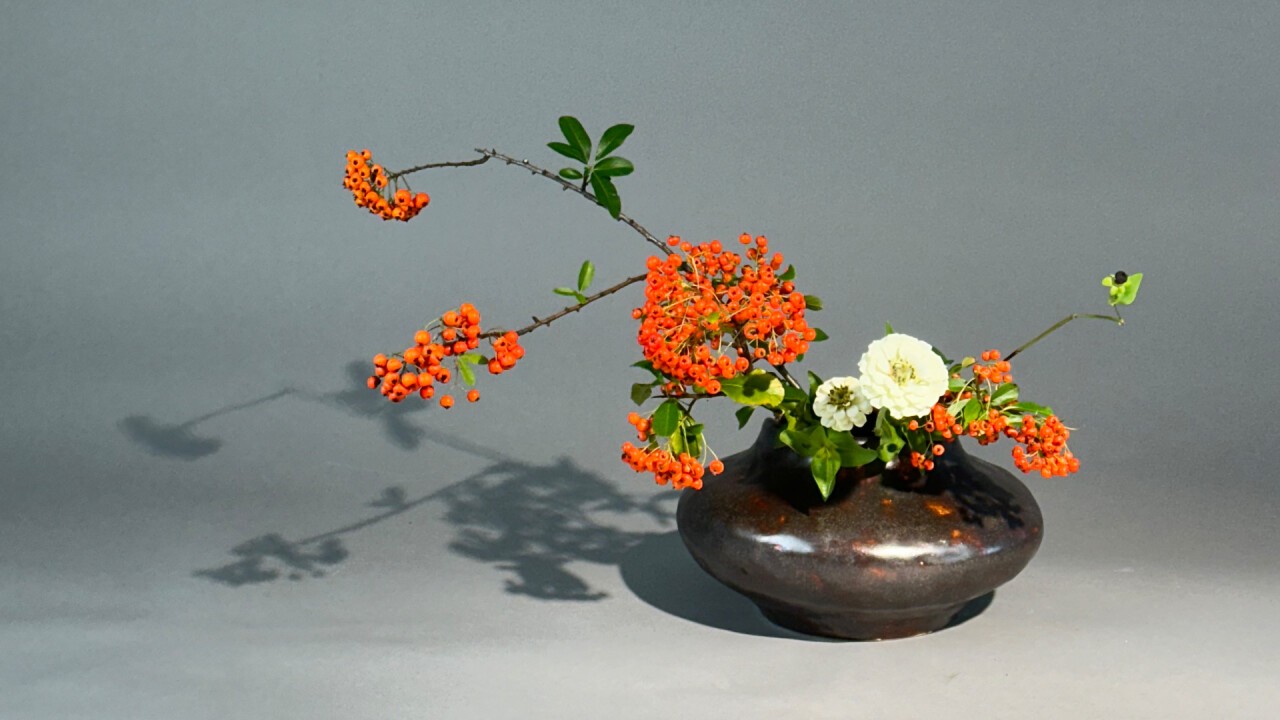 Ikebana: Freestyle