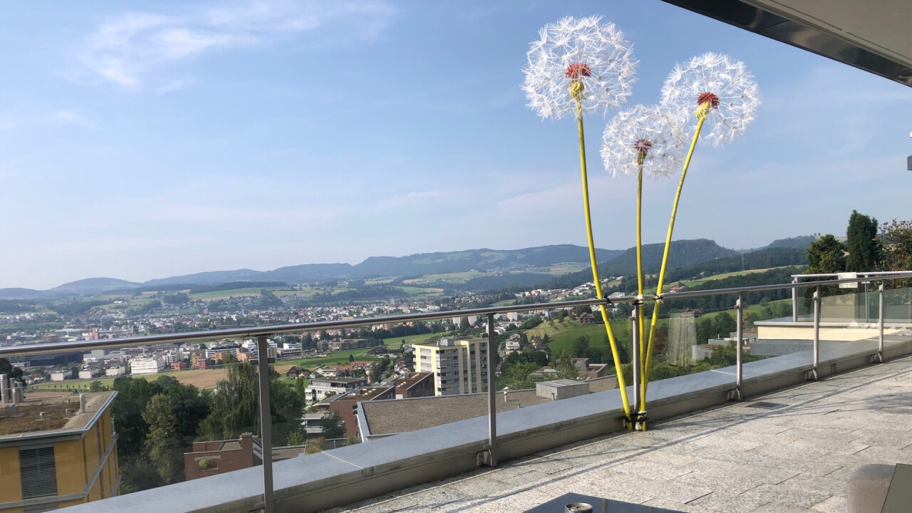 Pusteblumen mit Rohrschellen montiert