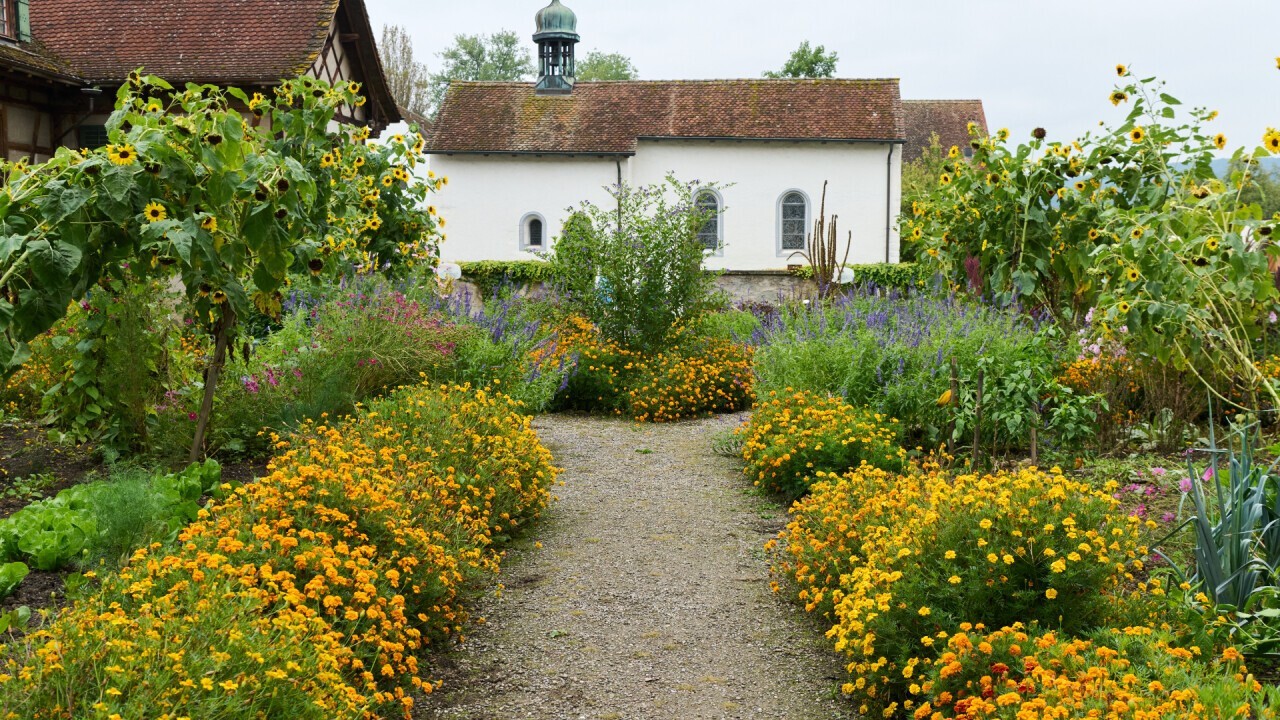 Welcome to the garden of Fahr Monastery