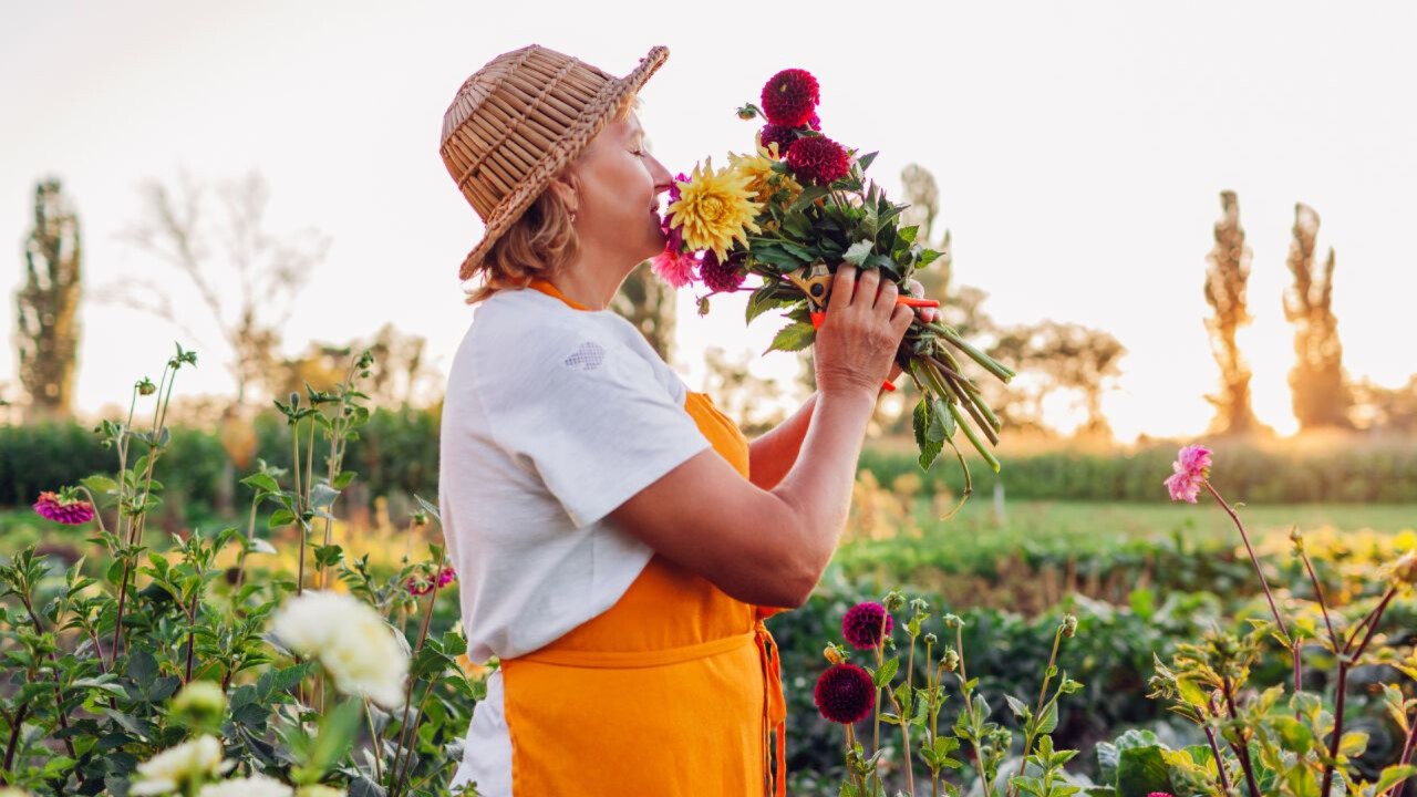 Image Bild Frau mit Blumenstrauss