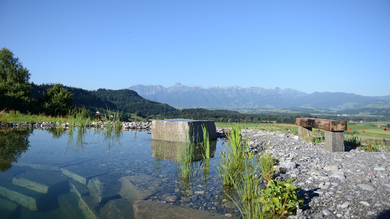 Schwimmteich von Swissteich