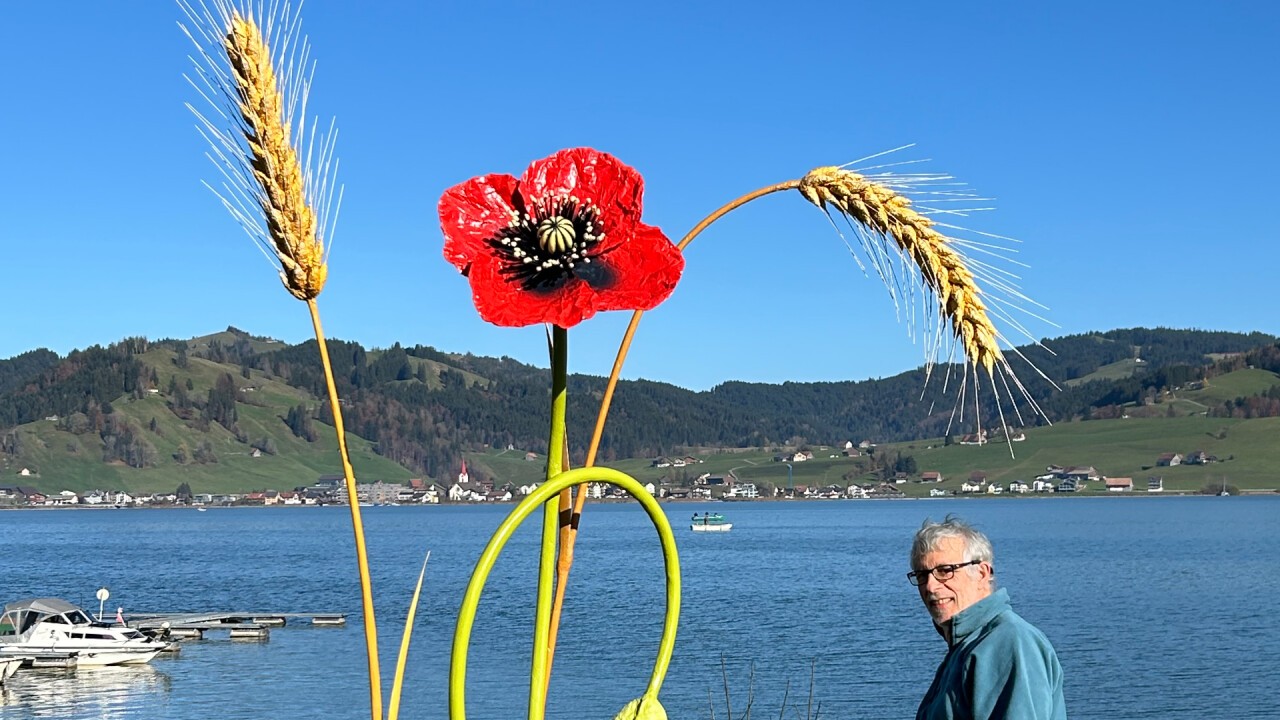 Mohn mit Aehren vom Künstler Bonvalet