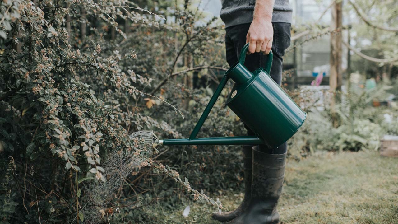 Stylische Giesskannen von Haws Watering Cans aus England