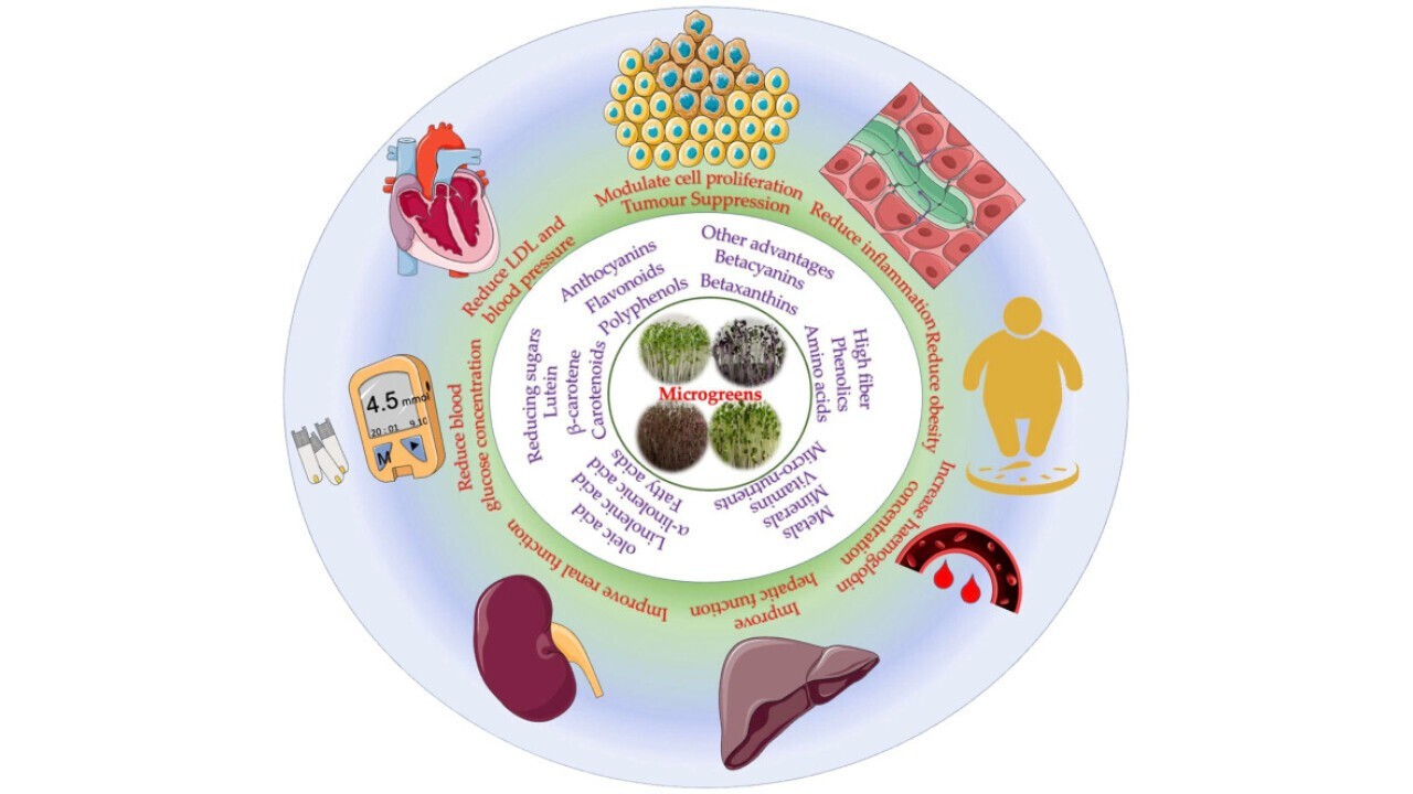 Microgreens and health benefits