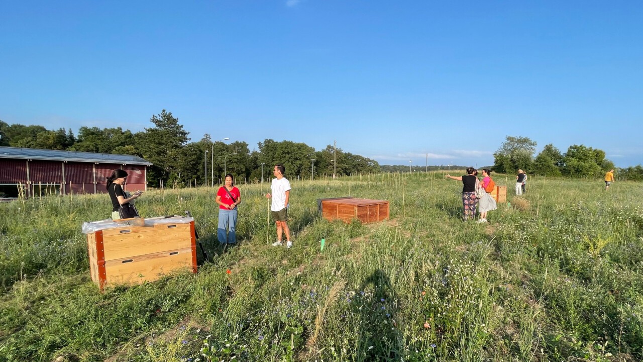 Glaubst auch du daran, dass biodiverse Flächennutzung Zukunft hat? - Werde Teil vom Vuebelle!