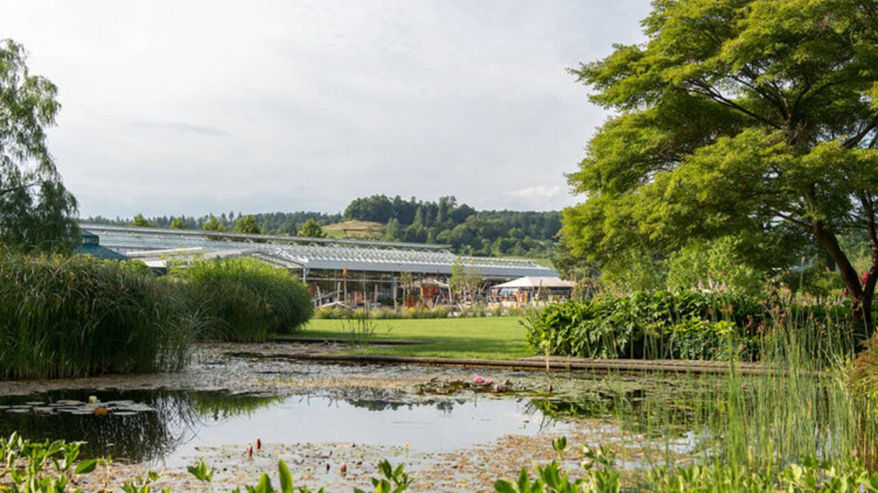  Hauenstein Pflanzen und Garten AG