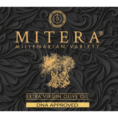 Mitera GmbH