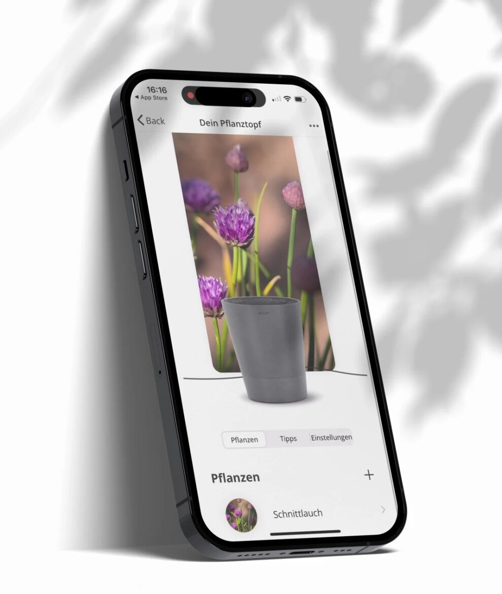 Die Boum-App liefert Tipps rund um Pflanzenpflege und informiert über die eigene Bewässerung